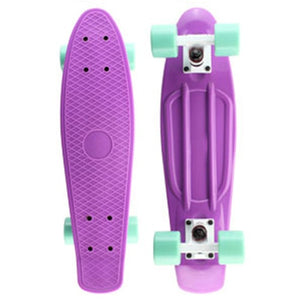 Pastel Mini  22" Skateboard