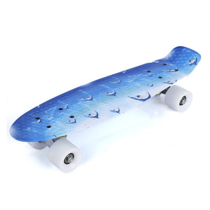 22 inch Skateboard Cruiser Board